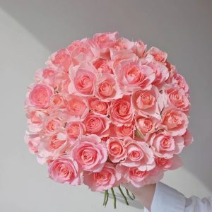 우아한 연인