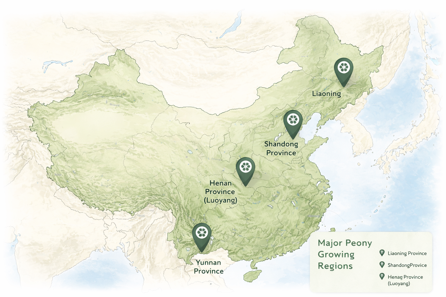 China peony growing regions distribution map for wholesale supply