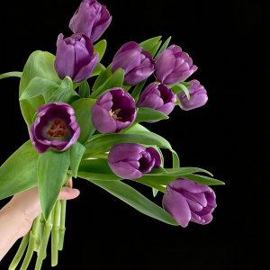 fresh cut light purple tulips wholesale, 40-50cm stem length, bunched for florist delivery, freshflowerwholesale