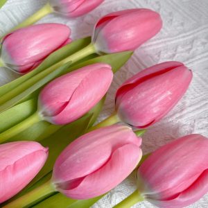 fresh cut pink tulips wholesale, 40-50cm stem length, bunched for florist delivery, freshflowerwholesale