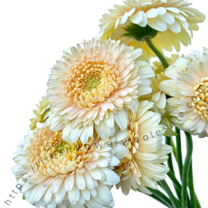 Light Pink Gerbera1