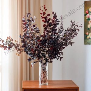 Loropetalum Chinense
