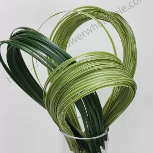 Steel Grass